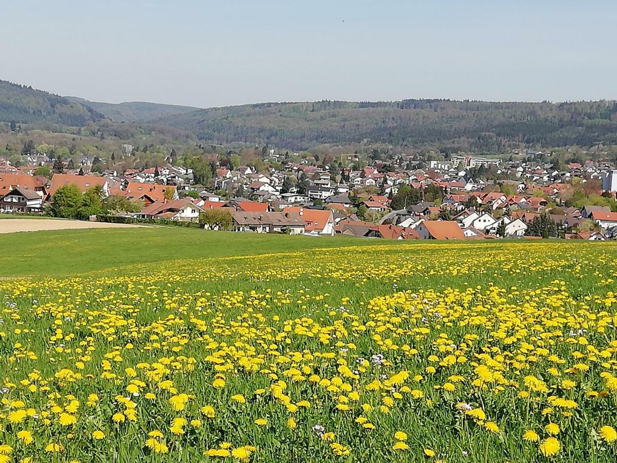 Annettes Ferienwohnung Michelstadt Ngoại thất bức ảnh